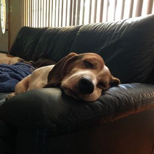 Meet your Posher, Ruth